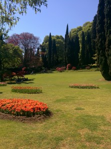 Parco Sigurtà - Arianna Torelli