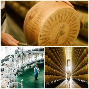 Parmigiano Reggiano Parma2064